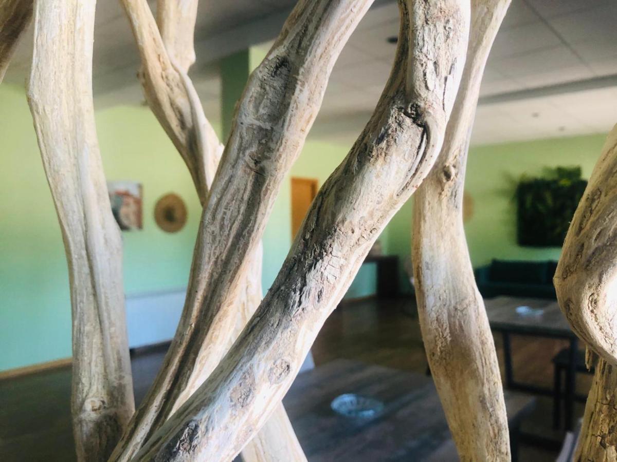 Hospederia De Juan Hotel Fuentidueña de Tajo Kültér fotó